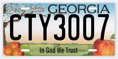 GA license plate CTY3007