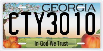 GA license plate CTY3010