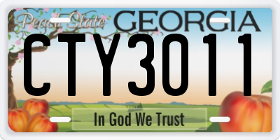 GA license plate CTY3011