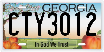 GA license plate CTY3012