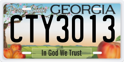 GA license plate CTY3013