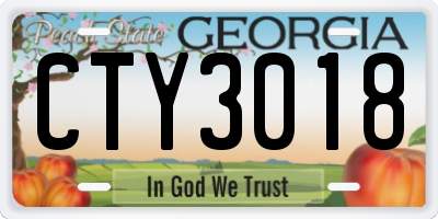 GA license plate CTY3018