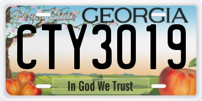 GA license plate CTY3019