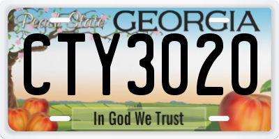 GA license plate CTY3020