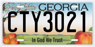 GA license plate CTY3021
