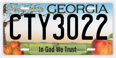 GA license plate CTY3022