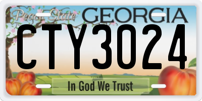 GA license plate CTY3024
