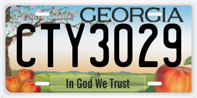 GA license plate CTY3029