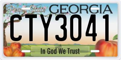 GA license plate CTY3041