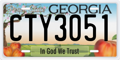 GA license plate CTY3051
