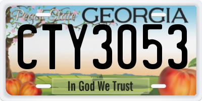 GA license plate CTY3053