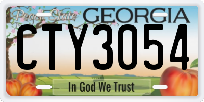 GA license plate CTY3054