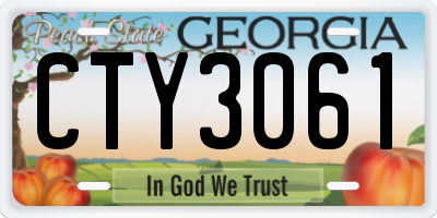 GA license plate CTY3061
