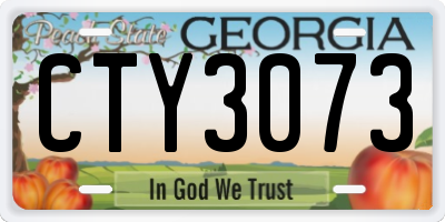 GA license plate CTY3073
