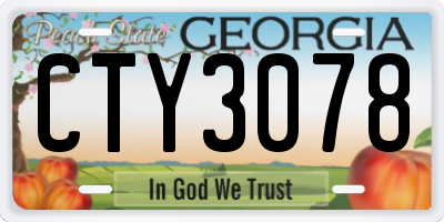 GA license plate CTY3078