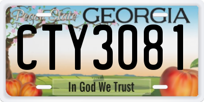 GA license plate CTY3081