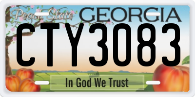GA license plate CTY3083