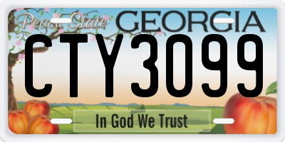 GA license plate CTY3099