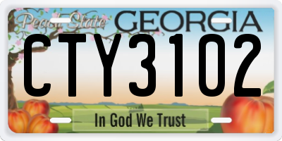 GA license plate CTY3102