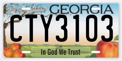 GA license plate CTY3103