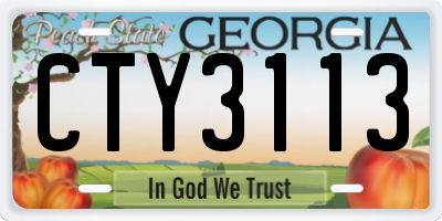 GA license plate CTY3113