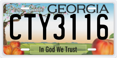 GA license plate CTY3116