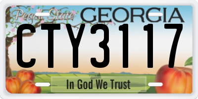 GA license plate CTY3117