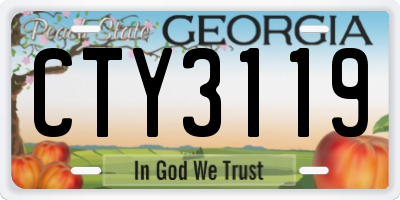 GA license plate CTY3119