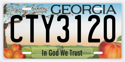 GA license plate CTY3120