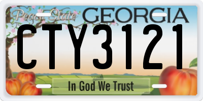 GA license plate CTY3121