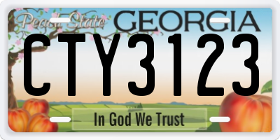 GA license plate CTY3123