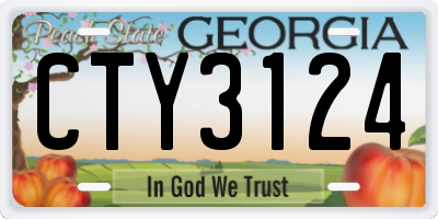 GA license plate CTY3124