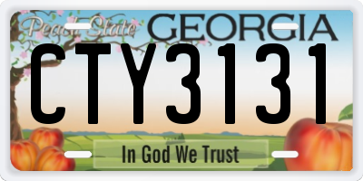GA license plate CTY3131