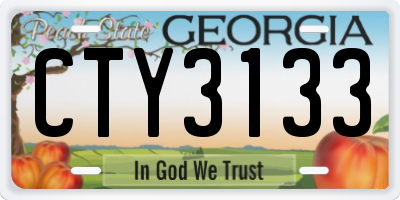 GA license plate CTY3133