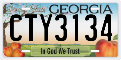 GA license plate CTY3134