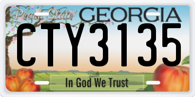 GA license plate CTY3135