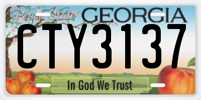 GA license plate CTY3137