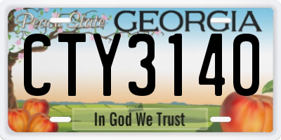 GA license plate CTY3140