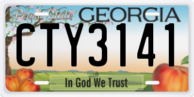 GA license plate CTY3141