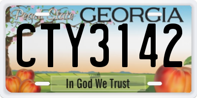 GA license plate CTY3142