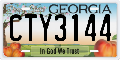 GA license plate CTY3144