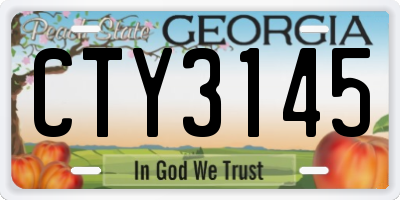 GA license plate CTY3145