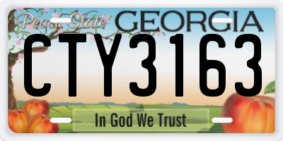 GA license plate CTY3163
