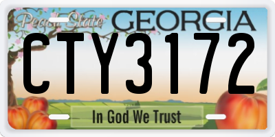 GA license plate CTY3172