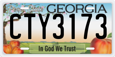 GA license plate CTY3173