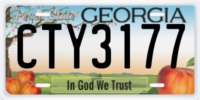 GA license plate CTY3177