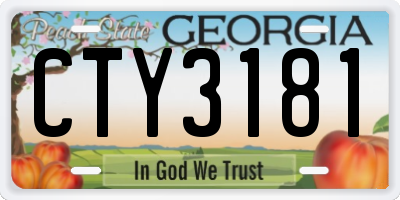 GA license plate CTY3181