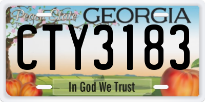 GA license plate CTY3183