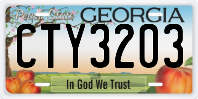 GA license plate CTY3203
