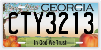 GA license plate CTY3213